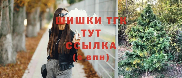 стаф Семилуки